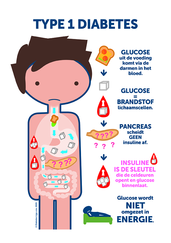 publicaties-diabetes-liga